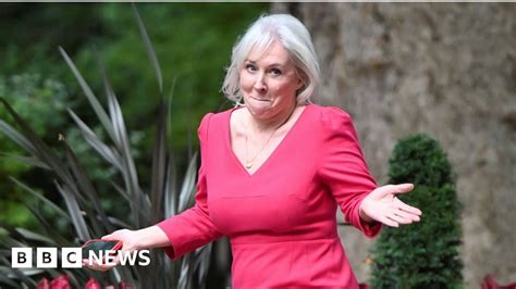 who is dr no nadine dorries|The Plot by Nadine Dorries review: a conspiratorial。